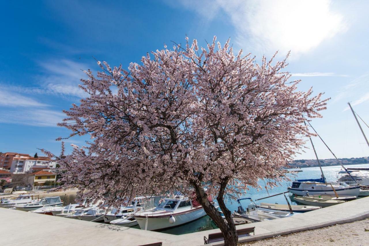 Island Apartman